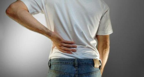 Bbrek saln korumak iin baz besinlerin tketilmesi gereklidir. te bbreklere iyi gelen yiyecekler&#8230;