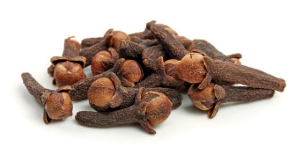 Karanfil  <br>  Karanfilin ierisinde bulunan uucu zellikteki jenoln, az ve boaz mukozas yanglarnda yang giderici; bakteri, mikromantar veya virslerin yol at az ve boaz enfeksiyonlarnda antiseptik olarak ve ar hissini hafifletici etkisi sz konusudur.