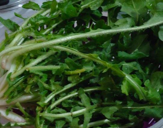 Karahindiba  <br>  Karahindiba, dzensiz beslenen kiiler iin muhteem bir temizleyicidir. Mineral ve vitamin asndan ok zengin olan bu bitki, bol miktarda antioksidan ierir, sindirim sistemi ve karacieri temizler. Salataya ekleyerek tketebilirsiniz.