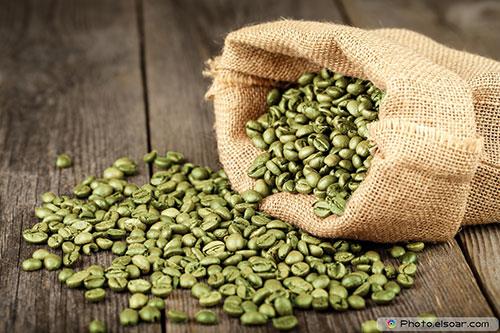 Klorojenik asidin faydalaryla ilgili aklama yapan ODT Gda Teknolojileri Uzman Dr. Uur G &#8220;Kahve ile ilgili soru iaretlerinin olumasnn en byk sebebi ierisindeki kafein miktardr. 4 bardak kahve itiinizde ierdii 400 mg kafeinden dolay kendinizi biraz zinde ve din hissedebilirsiniz. Zira yeil kahvede kafeinden ok daha yararl, kanser dman ve eker emilimini azaltarak kilo verdiren klorojenik asit adl bir madde var. Bu maddenin kilo azaltc etkisi iinse en az gnde 7 su barda kahve tketmek gerekiyor ki 4 bardan zerine ktka iindeki ykl kafein miktar yksek tansiyon, yorgunluk, kalp yetmezlii dahil ciddi salk sorunlarna yol aar; bu da kafein zehirlenmesi demek" dedi.