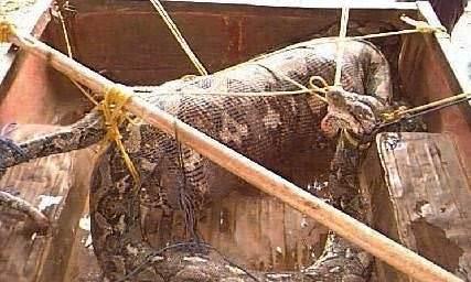 in&#8217;de bir kyl kadn ortadan kayboldu.