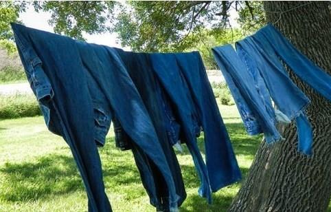 Kuzey Kore: blue jeans