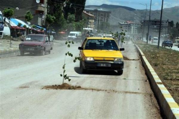 Yksekova ofrler ve Otomobilciler odas yeleri, iledeki bozuk yollara dikkat ekmek amacyla caddedeki ukurlara fidan dikti