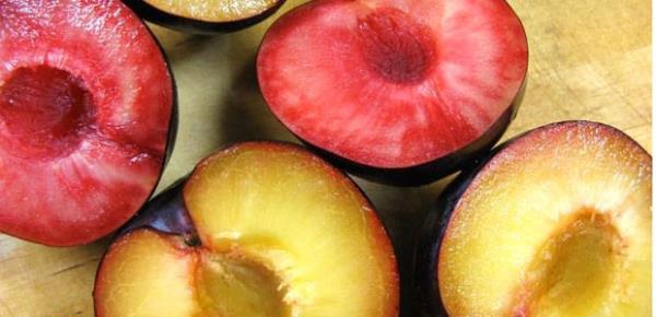 Erik aac eitli toprak tipinde yetiebilmesine ramen scak, nemli iklim artlarnda ve derin topraklarda daha verimli olmaktadr.