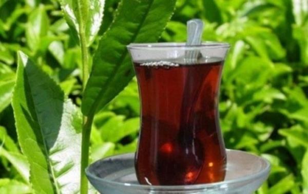 ay damanzda sertlik ve aclk brakyorsa, demlikte ki ay miktar fazla olabilir. Demliinize dndnzden daha az konulan ay yeterli olacaktr. En kolay l iin ise demlik poetleri tercih edin, sizi yanltmazlar.