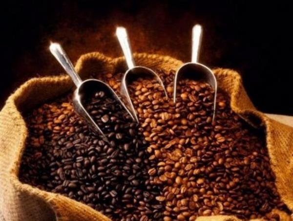 8. Kahve: erdii kafein nedeniyle ou beslenme nerisinde yer almayan kahve, baz durumlarda olumlu etkilere de sahiptir.