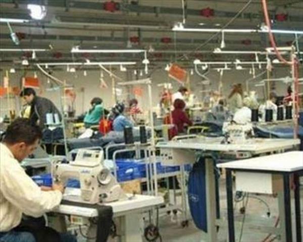 “Bu konu, d��ar�da daha �ok ilgi topluyor. Harvard �niversitesi b�t�n imkanlar�n� �cretsiz olarak seferber etti mesela. Sonunda neye ula�aca��m� bilmiyorum. Kodlama sistemini g�n�m�ze uyarlamay� ba�aramasam bile bu tez bitirilmeyi hak ediyor. Fakat ��zebilirsem yeni tekstil tasar�mlar� olu�turmak zor olmayacakt�r.”