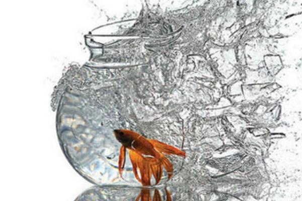 Saniyede yzlerce kare ekebilen hzl kameralar tarafndan yakalanan ilgin anlar