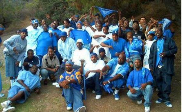 Crips<br>  16 yl nce kk bir eteyken, imdi dnyann sayl su rgtlerinden birisi haline geldiler. En byk dmanlar Bloods ve birka Hispanik ete olan Crips'lerin en ayrt edici taraflar...