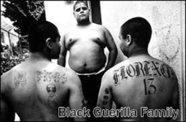 Saysz mttefiki olan etenin (Crips, Bloods), bir o kadar da dman vard. (Aryan Brotherhood, The Mexican Mafia)