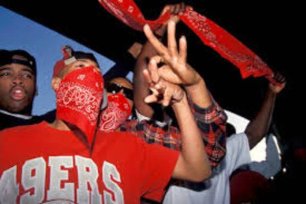 Kendi etelerini kurmalaryla beraber saylar dmannn 3 katna kt ki bunun sebebi, bugn de devam eden iddetli eylemleriydi.