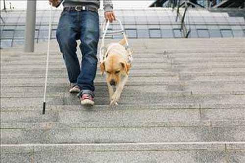 Yan sra dzenli olarak gece alan hemirelerde meme kanserinin artt tespit ediliyor. Melatonin meme tmrlerinin bymesini de azaltyor, kalp ve damar hastalklarn yavalatyor, reme fonksiyonunu artryor. Depresyonlu kiilerde bu hormon dk.