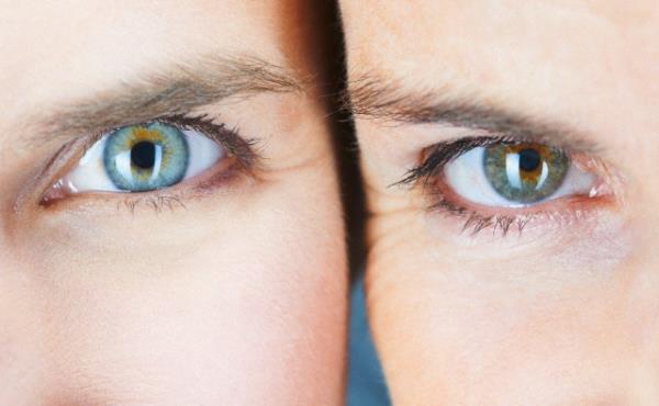 Salkl beslenmenin tm vcudunuzu etkilediini belirten uzmanlar, gzleriniz zerinde koruyucu etkisi olan bu yiyeceklerin dier vcut sistemlerini de pozitif olarak etkilediine dikkat ektiler.