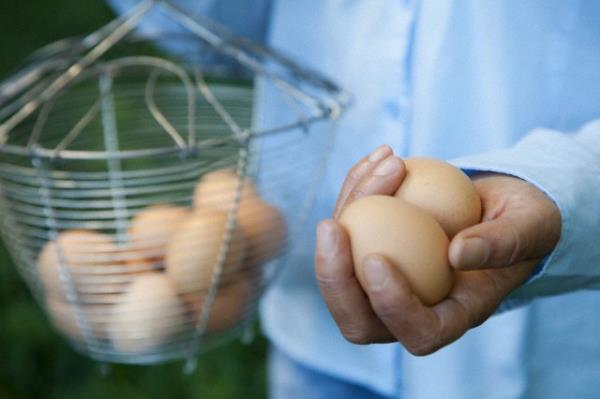 Vcudumuz bu antioksidanlar yumurtadan daha iyi sindiriyor.