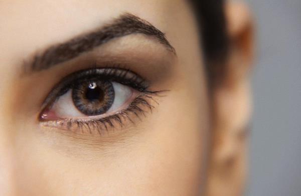 te gz salnz destekleyen ve koruyan yiyecekler: