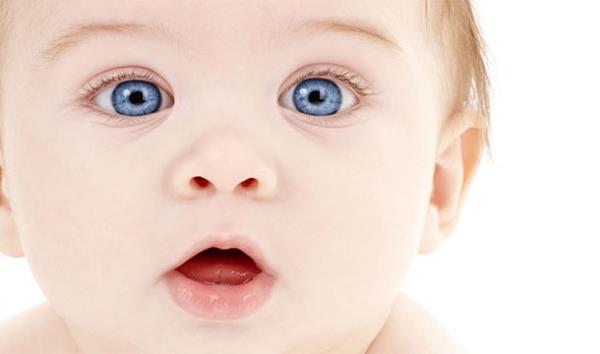 250 bebek hayata merhaba diyor...