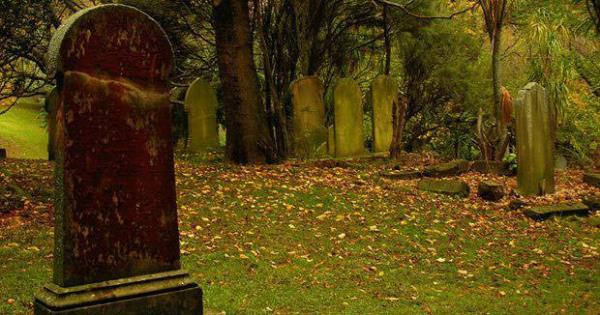 TOPRAK ALTINDAK TAKIM ALIMASI<br>    Vcut rrken tam bir takm almas yaplyor.