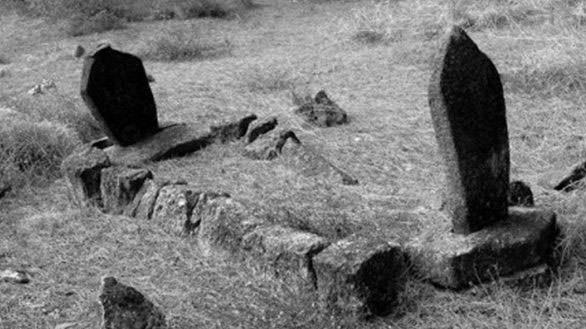 Daha sonra len bu sinekleri yemek iin baka bcekler geliyor. Geriye kemikler kalana kadar bu istila devam ediyor.