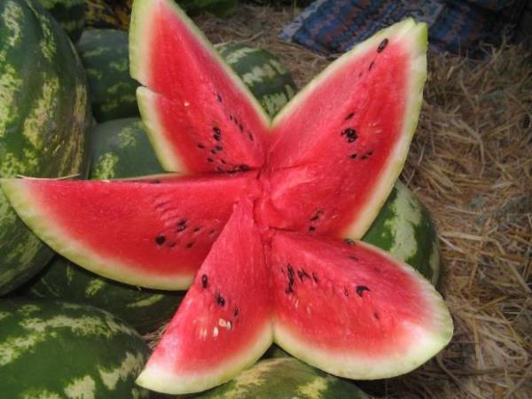 Karpuz kabuu<br>  Karpuz kabuunu cilde srdnzde aknelere kar olduka etkilidir.