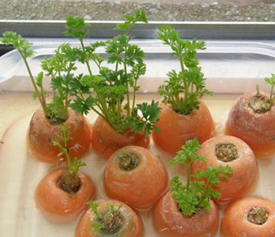 Havu<br>  Kestiiniz ksmlar suda bekletirseniz bydn greceksiniz.