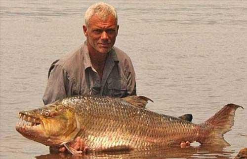 Vahi doa ile ilgili televizyon program yapan ngiliz balk Jeremy Wade, 8 gndr peinde olduu dev pirana baln yakalamay baarmt.