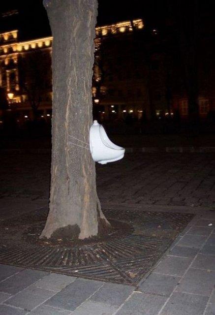 te Dnyann En lgin Tuvaletleri