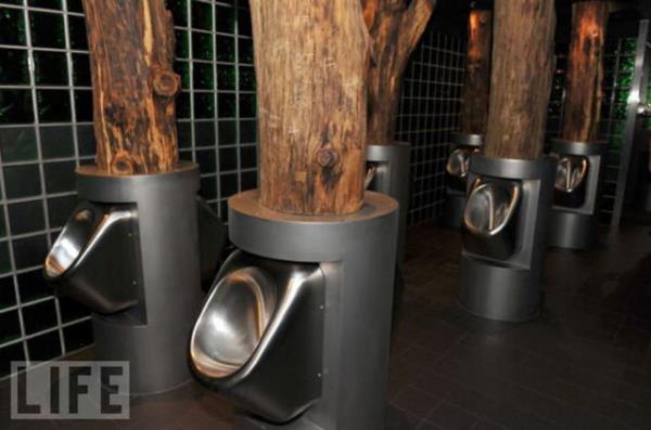 Birlemi Milletler Genel Kurulu, 19 Kasm' Dnya Tuvalet Gn ilan etti. Bu ekilde, tuvalet imkan olmayan 2,5 milyar insann durumuna dikkat ekilmeye allacak