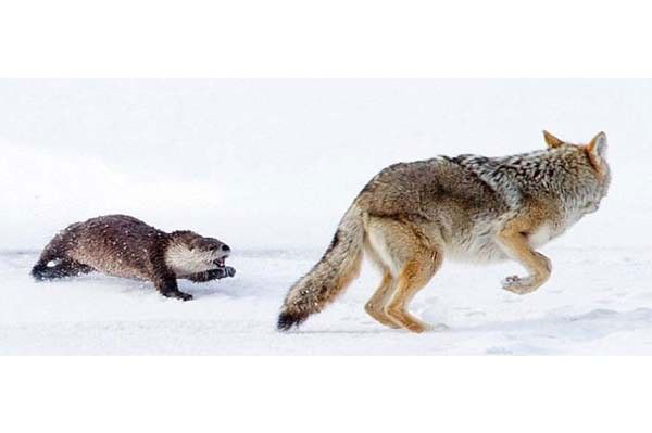 Hatta o kadar korktu ki kamaya balad.