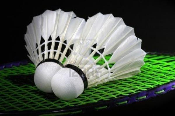 13- Badminton<br>  Tytop