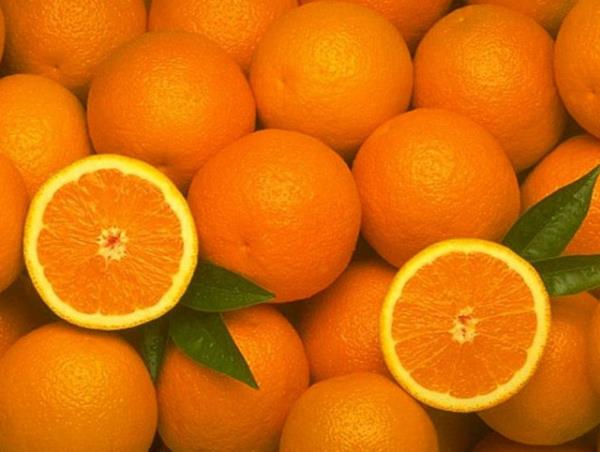 Portakallar skmadan nce souk suda bekletirseniz elde edilecek portakal suyu miktarn yar yarya arttrrsnz.