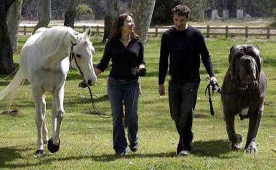 Dnyann en byk kpei (ABD &#8211; Herkl / 1 metre &#8211; 128 kilo)