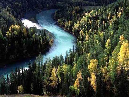 Dnyann en byk nehri (Nil Nehri-Afrika)