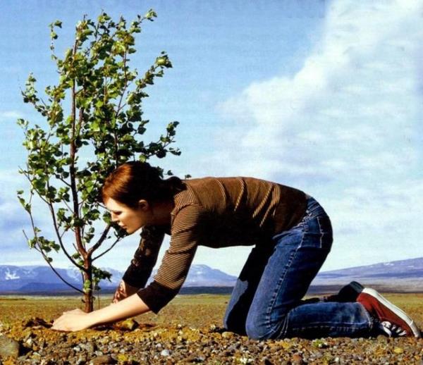 Aa dikmek - 30 dak - 150 kalori