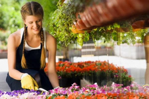 Bahe ileri - 30 dak - 150 kalori