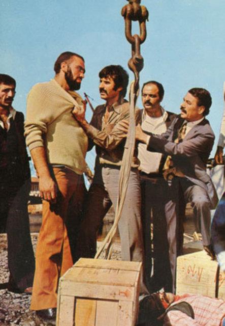 te zirveden yere aklan dier hayatlar...