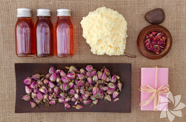 <p><b>Zehir &Ccedil;i&ccedil;ei Sabunu: </b>Uyuz, deri kantlar, bit , pire gibi zararl haere ve ar sokmalarnda etkilidir.</p>