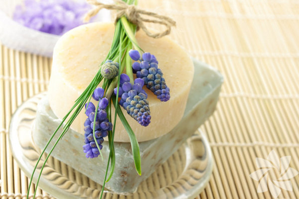 <p><b>Kara &Uuml;z&uuml;m Sabunu: </b>Cilt koruyucudur ve varis tedavisinde kullanlr.</p>