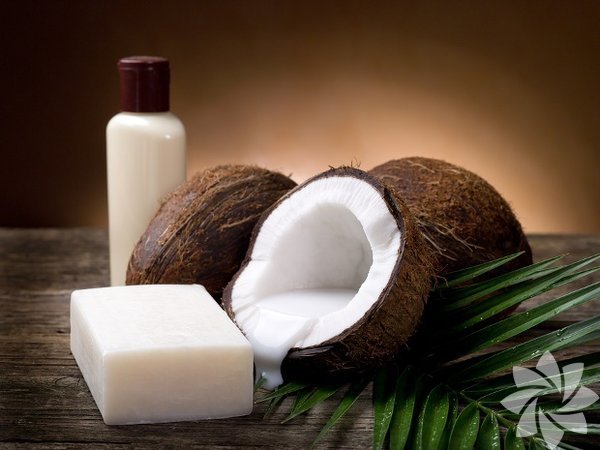 <p><b>Hindistan Ceviz Sabunu: </b>ltihaplanmaya kar etkilidir. Eklem, kas, romatizma arlarnda etkilidir.</p>