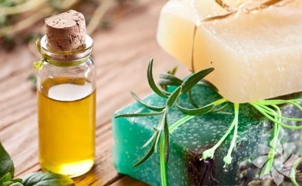 <p><b>&Ccedil;am Sabunu: </b>Yal ciltler i&ccedil;in sedef egzama rahatszlklarnda dermotolojik bir sabundur.</p>