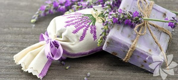 <p><b>Fransz Lavantas: </b>17 ya &uuml;zeri akne ve sivilce sabunudur.</p>