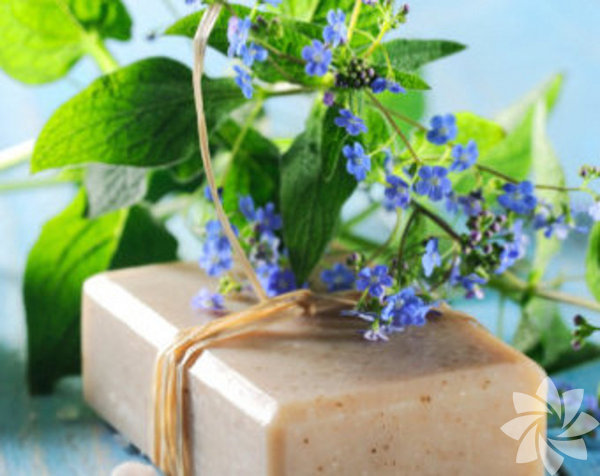 <p><b>K&uuml;k&uuml;rt Sabunu</b><b>: </b>14, 17 ya ergenlik d&ouml;nemi sivilce sabunudur.</p>