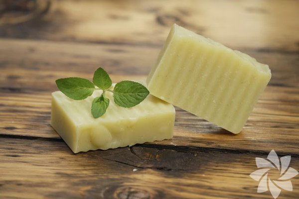 <p><b>Isrgan Sabunu: </b>Sa&ccedil; d&ouml;k&uuml;lmelerine kar ve kepek tedavisinde kullanlr.</p> <p>&nbsp;</p>