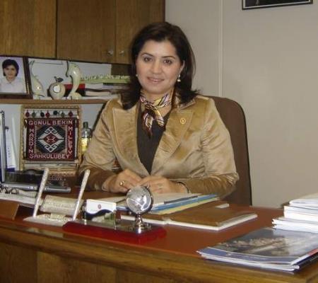 Azize Sibel Gnl (Kocaeli),