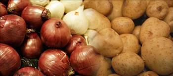 Elma, soan ve patatesin tad ayndr. Fark sadece tamamen kokularndan kaynaklanr. Aslnda hepsi tatldr.