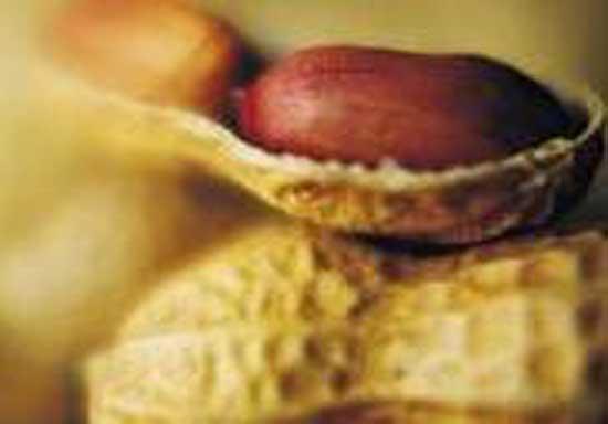 Zayf bedene kuvvet verir. Fstk bal ile yenilirse kuvvet verir. Bbrekleri kumlardan temizler.