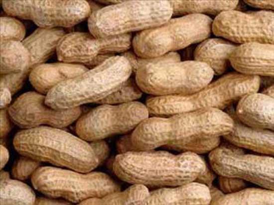 Kandaki kolesterol orann drerek kalp ve damar hastalklar riskini azaltr.