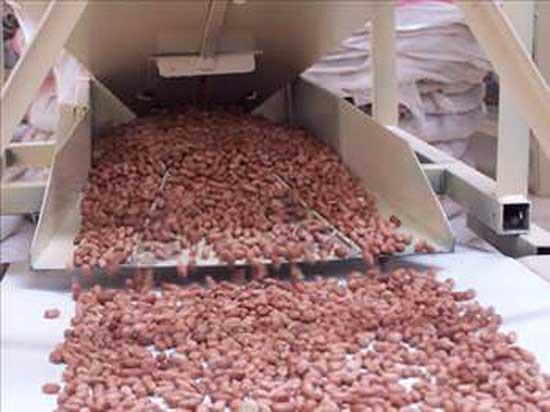 Bbreklerdeki harareti nler. Fstk semiz otunun sklarak elde edilmi suyuyla tketilirse mide yanmasn ve acln dindirir.