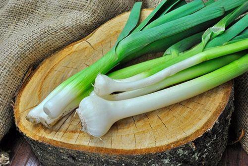 PIRASA  <br>  Prasa kanserle savata etkilidir: Kanserli hcrelerin bymesini engeller. erisinde bulunan flavanoidler sayesinde serbest radikallere kar vcudun savunma mekanizmasn kuvvetlendirir. almalar, sarmsak, soan ve prasann kan basncn drc etkisi olduunu gstermektedir. Zayflama diyetlerinde en ok tercih edilen sebzelerden birisidir. Kalorisi dk, lif ierii yksek olduu iin uzun sre tokluk hissi verir.