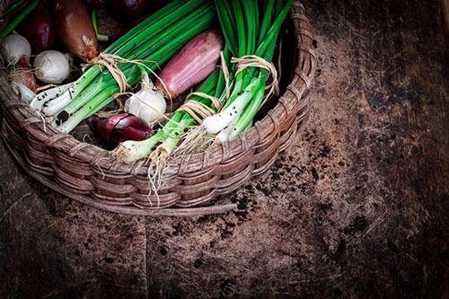 PIRASA  <br>  Minerallerin kraliesi prasa: 100 gr prasa da 83 gr su, 1,5 gr protein, 14 gr karbonhidrat ve eser miktarda ya bulunur. Vitamin ve mineral bakmndan zengin bir sebzedir. VitA, VitB6, folik asit, VitC, VitK, demir ve magnezyum ierir.