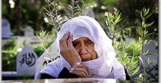 Soylu, zm srecinin, AK Parti'nin kendi insiyatifiyle ortaya koyduu veya performansn ykselttii bir sre olmadna iaret ederek, "Bu sreci, bizatihi millet sahiplenmitir. Millet, bu sreci adeta AK Parti'ye dikte etmitir. Bu kadar basit" ifadelerini kulland.